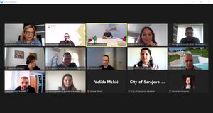 The participants of the constituent online meeting..jpg
