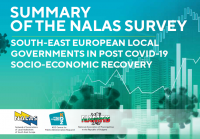Survey summary NALAS covid.PNG